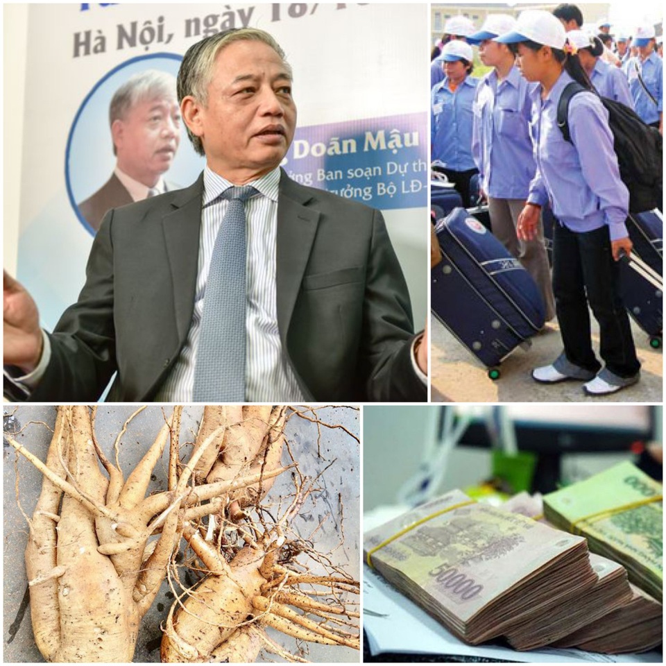 Tăng tuổi hưu, việc làm người trẻ và 1 triệu lao động thất nghiệp - 1 Tăng tuổi hưu, việc làm người trẻ và 1 triệu lao động thất nghiệp - 1