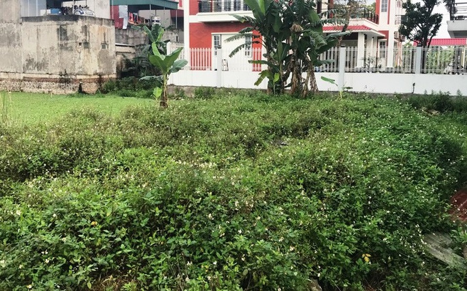 Để người nhà thâu tóm đất công, Chủ tịch xã mất chức - 1 Để người nhà thâu tóm đất công, Chủ tịch xã mất chức - 1