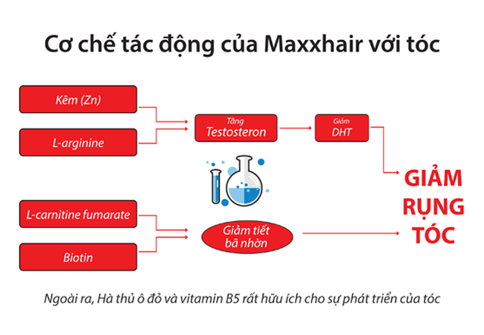 Hói đầu sớm ở nam giới và cách điều trị hói đầu hiệu quả - 3 Hói đầu sớm ở nam giới và cách điều trị hói đầu hiệu quả - 3
