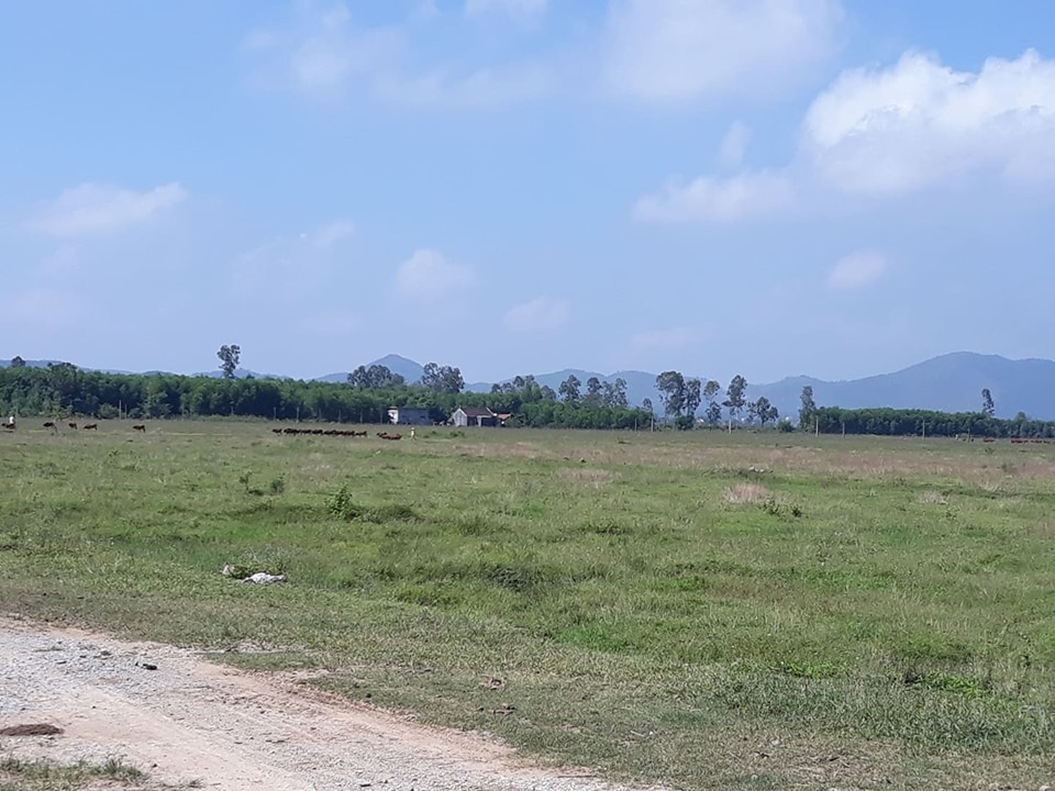 Dự án trồng chuối 4 triệu USD: Doanh nghiệp tháo chạy, xin không trả tiền dân - 3 Dự án trồng chuối 4 triệu USD: Doanh nghiệp tháo chạy, xin không trả tiền dân - 3