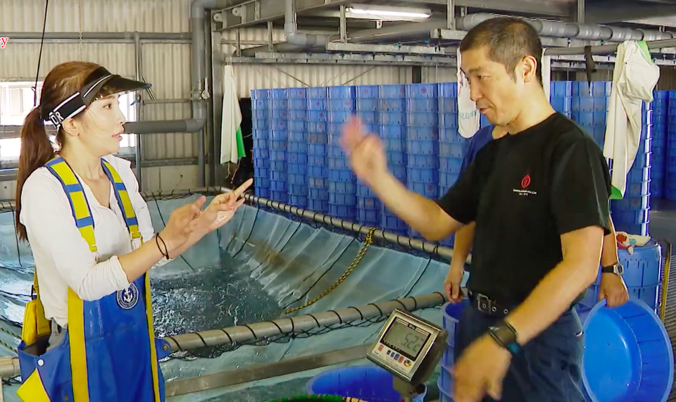 Việt Anh ôm Quỳnh Nga thân mật trên sóng truyền hình - 6 Việt Anh ôm Quỳnh Nga thân mật trên sóng truyền hình - 6