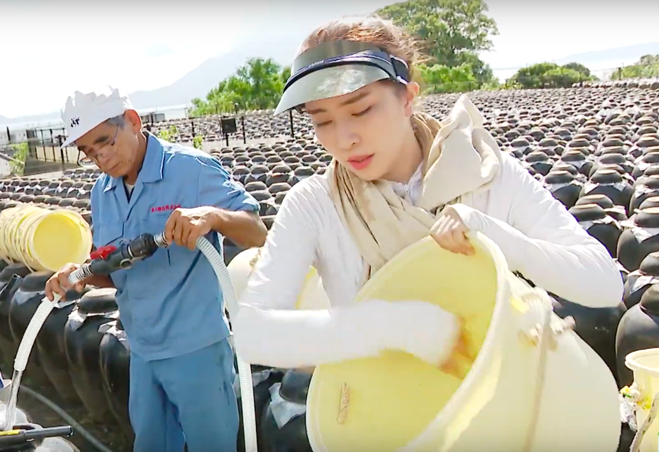 Việt Anh ôm Quỳnh Nga thân mật trên sóng truyền hình - 7 Việt Anh ôm Quỳnh Nga thân mật trên sóng truyền hình - 7