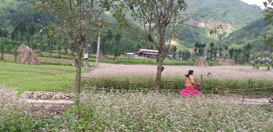 Hà Giang mùa đá ra hoa - 6 Hà Giang mùa đá ra hoa - 6
