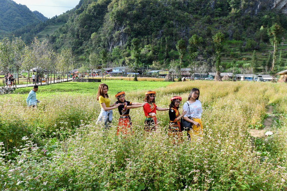 Thế là, mùa tam giác mạch đã về với Hà Giang! - 6