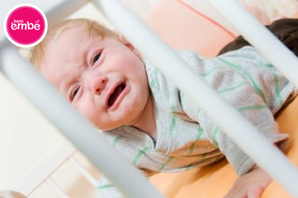 Bác sĩ da liễu cảnh báo 3 sai lầm nghiêm trọng 80% mẹ bỉm sữa mắc phải khi trẻ bị côn trùng cắn sưng đỏ - 2 Bác sĩ da liễu cảnh báo 3 sai lầm nghiêm trọng 80% mẹ bỉm sữa mắc phải khi trẻ bị côn trùng cắn sưng đỏ - 2