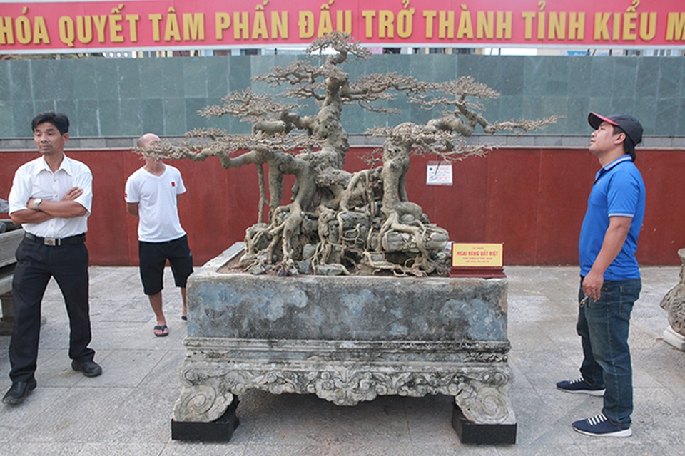 Sanh “Ngai vàng đất Việt” mua 10 triệu đồng, sau 15 năm trả vài tỷ không bán - 1 Sanh “Ngai vàng đất Việt” mua 10 triệu đồng, sau 15 năm trả vài tỷ không bán - 1