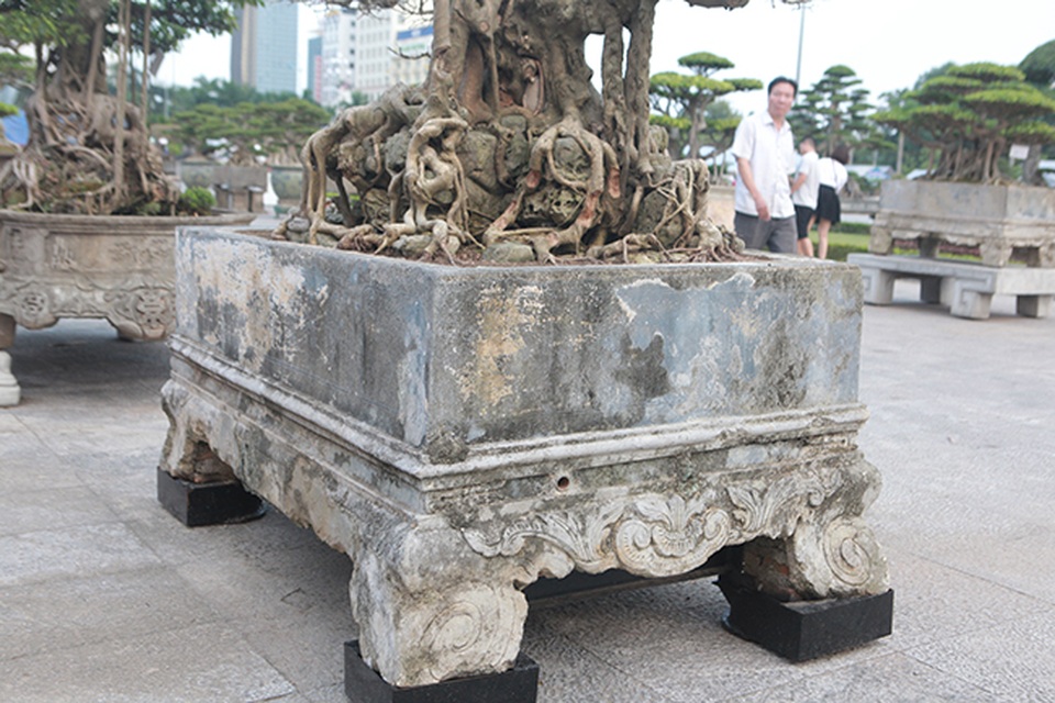 Sanh “Ngai vàng đất Việt” mua 10 triệu đồng, sau 15 năm trả vài tỷ không bán - 13 Sanh “Ngai vàng đất Việt” mua 10 triệu đồng, sau 15 năm trả vài tỷ không bán - 13