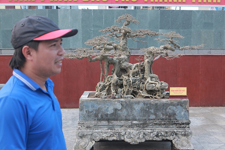 Sanh “Ngai vàng đất Việt” mua 10 triệu đồng, sau 15 năm trả vài tỷ không bán - 2 Sanh “Ngai vàng đất Việt” mua 10 triệu đồng, sau 15 năm trả vài tỷ không bán - 2