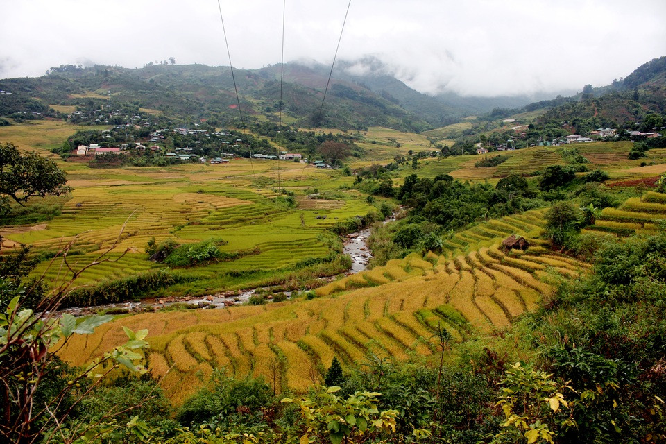 Mùa lúa vàng trên “xứ sở sương mù” Măng Ri - 2 Mùa lúa vàng trên “xứ sở sương mù” Măng Ri - 2