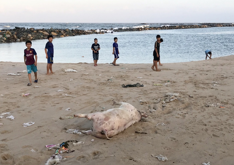 Phú Yên: Bãi biển TP. Tuy Hòa ngập rác sau mưa - 4 Phú Yên: Bãi biển TP. Tuy Hòa ngập rác sau mưa - 4