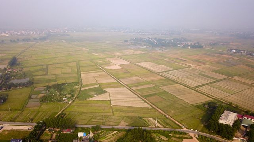 Hà Nội: Giải đua ngựa đầu tiên ở Sóc Sơn khởi tranh năm 2020 - 1 Hà Nội: Giải đua ngựa đầu tiên ở Sóc Sơn khởi tranh năm 2020 - 1