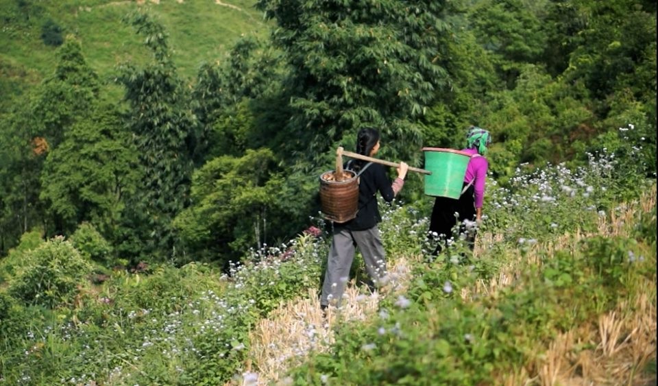 Cuộc sống bình yên, không cần đến tiền của cô gái Đắk Lắk “bỏ phố về rừng” - 5 Cuộc sống bình yên, không cần đến tiền của cô gái Đắk Lắk “bỏ phố về rừng” - 5
