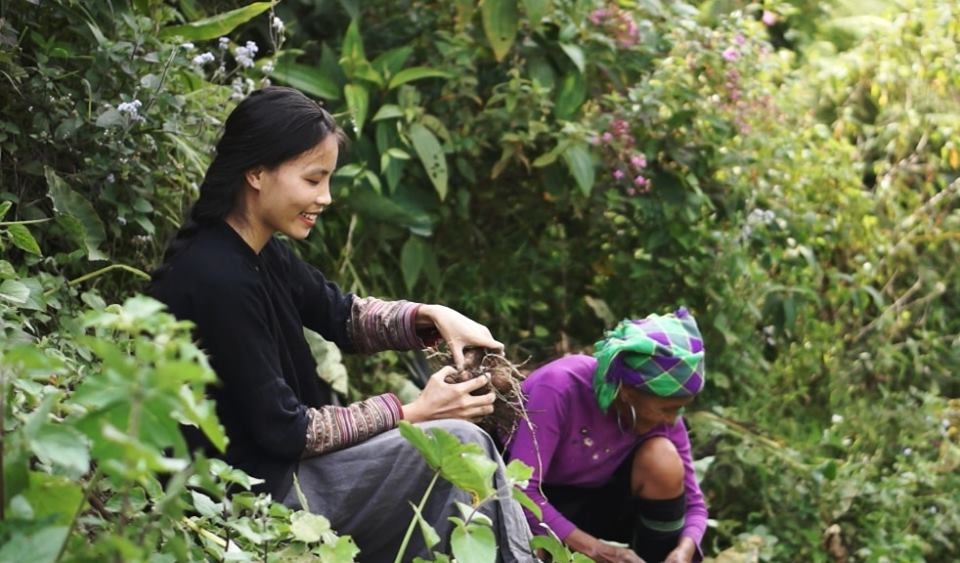 Cuộc sống bình yên, không cần đến tiền của cô gái Đắk Lắk “bỏ phố về rừng” - 7 Cuộc sống bình yên, không cần đến tiền của cô gái Đắk Lắk “bỏ phố về rừng” - 7