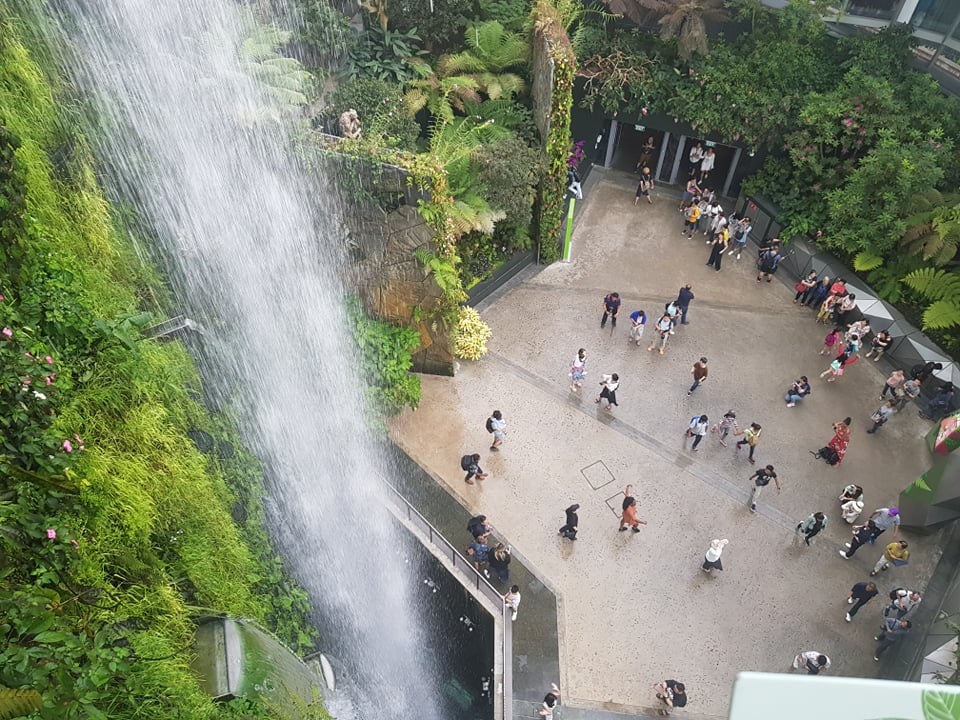 Rừng đám mây Singapore.jpg Rừng đám mây Singapore.jpg