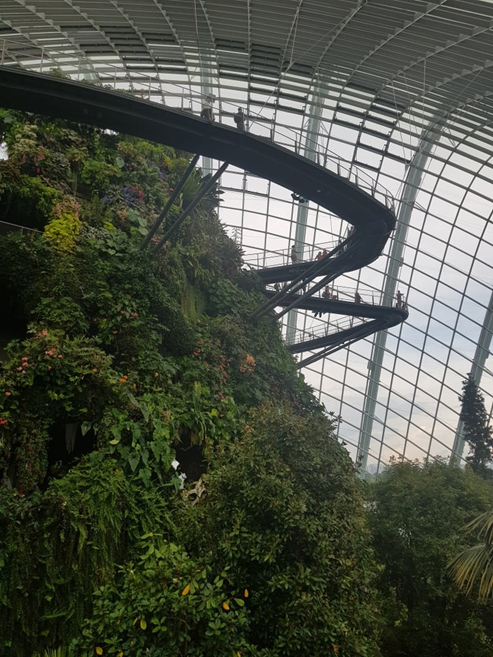 Rừng đám mây Singapore.jpg Rừng đám mây Singapore.jpg