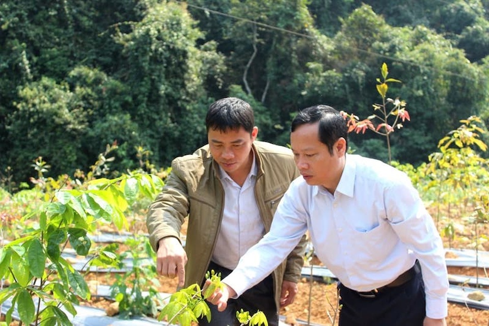 Du lịch cộng đồng hứa hẹn “thay da đổi thịt” đời sống đồng bào miền đất thiêng Tây Yên Tử - 3 Du lịch cộng đồng hứa hẹn “thay da đổi thịt” đời sống đồng bào miền đất thiêng Tây Yên Tử - 3