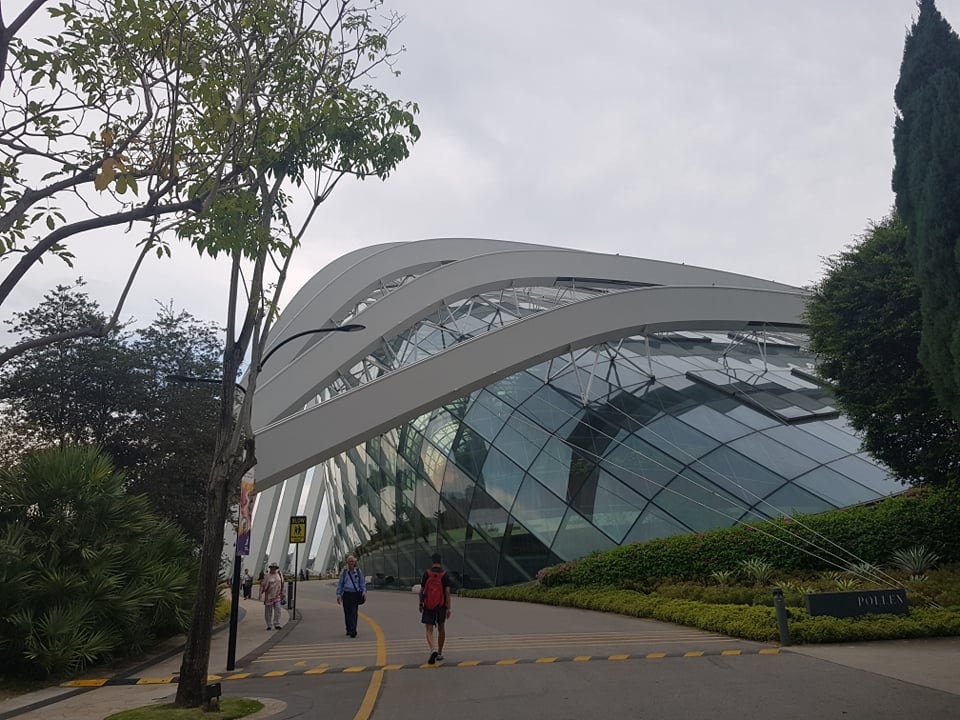 Rừng đám mây Singapore.jpg Rừng đám mây Singapore.jpg