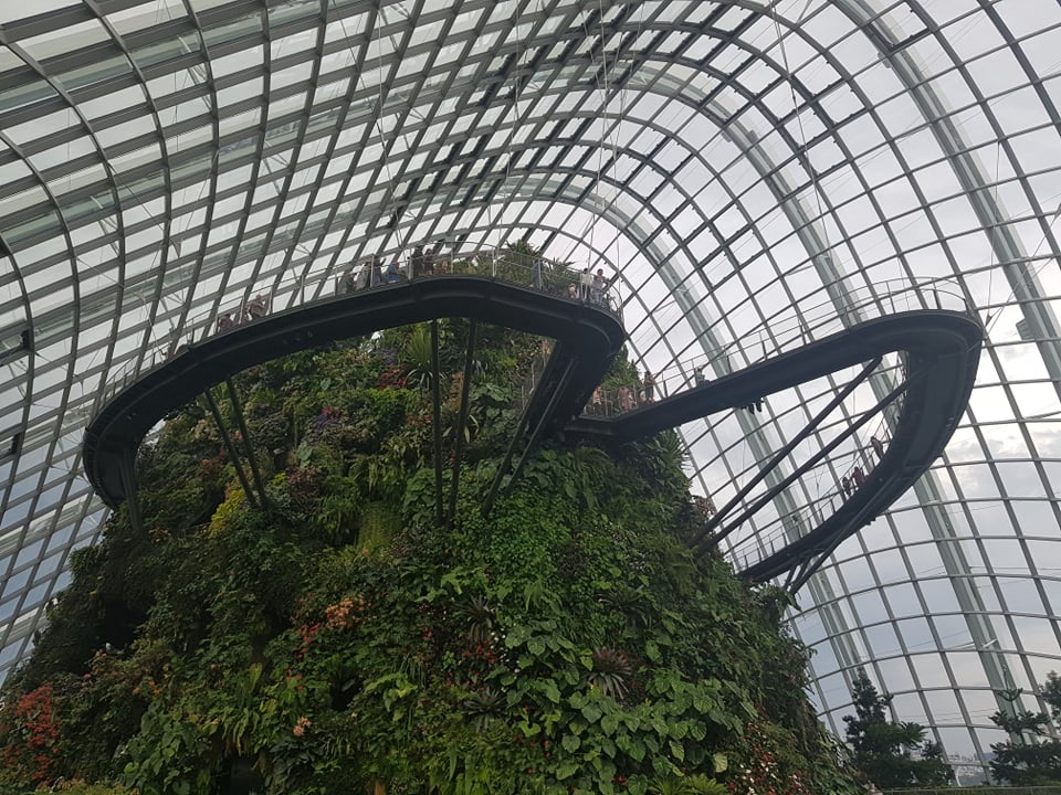 Rừng đám mây Singapore Rừng đám mây Singapore.jpg