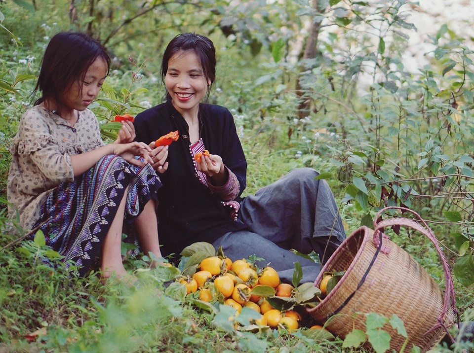 Cuộc sống bình yên, không cần đến tiền của cô gái Đắk Lắk “bỏ phố về rừng” - 1 Cuộc sống bình yên, không cần đến tiền của cô gái Đắk Lắk “bỏ phố về rừng” - 1