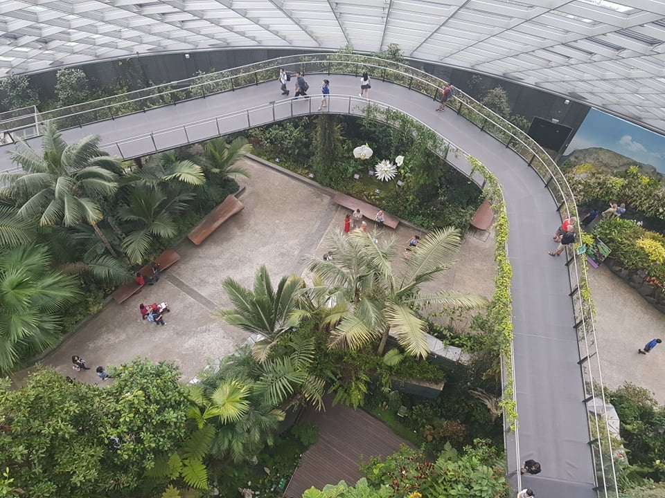 Rừng đám mây Singapore.jpg Rừng đám mây Singapore.jpg