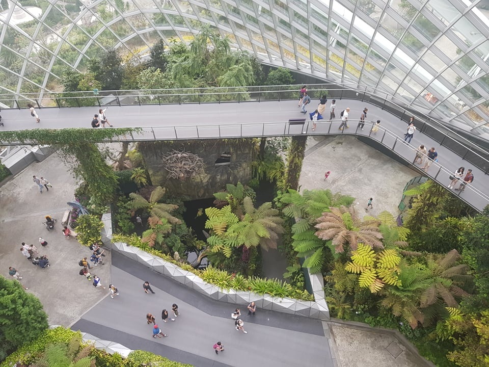 Rừng đám mây Singapore.jpg Rừng đám mây Singapore.jpg