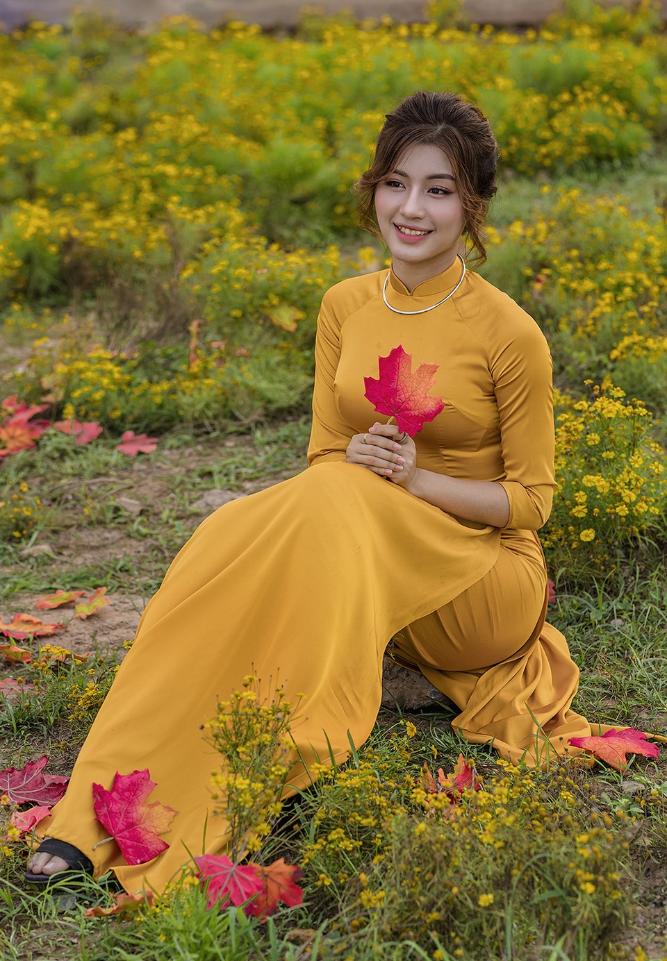 Mùa thu về dịu dàng trên cánh đồng hoa hướng dương Hà Nội - 4