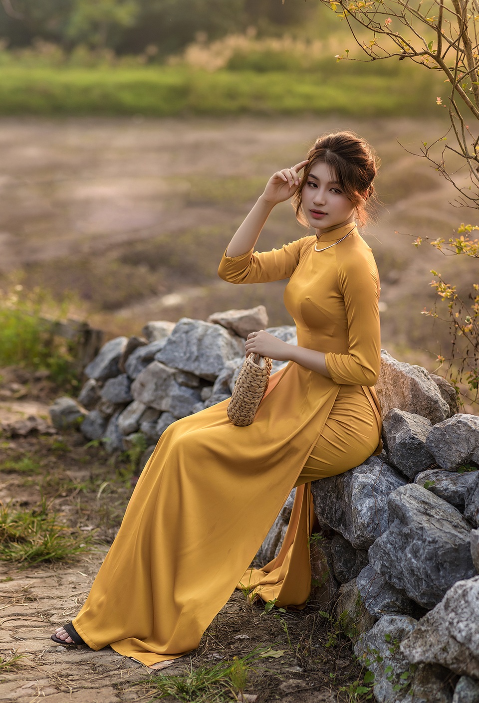 Mùa thu về dịu dàng trên cánh đồng hoa hướng dương Hà Nội - 6