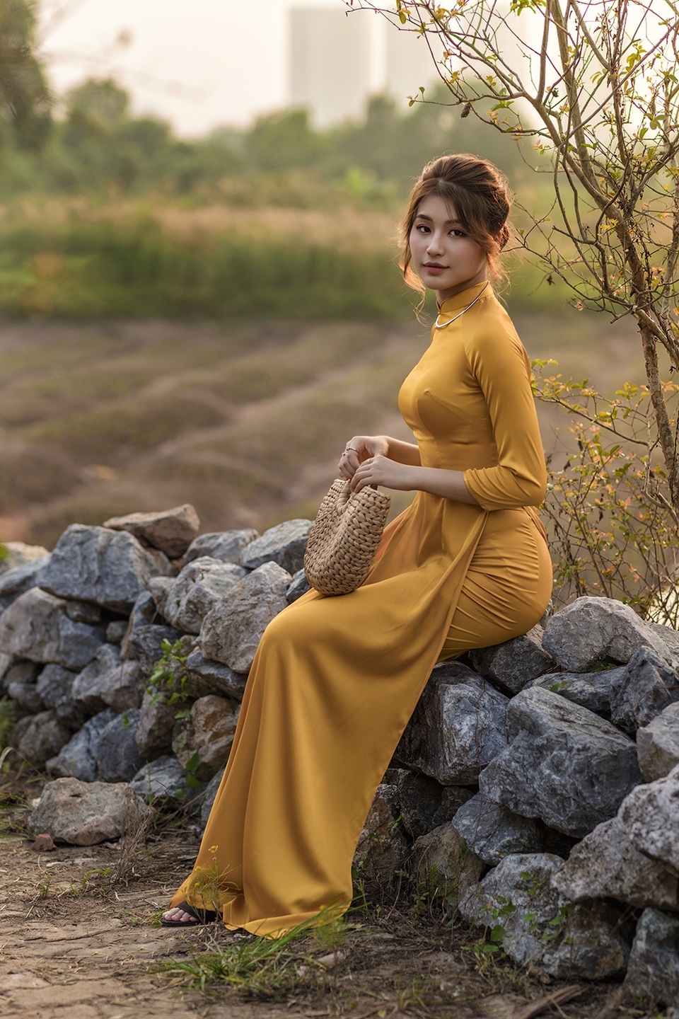 Mùa thu về dịu dàng trên cánh đồng hoa hướng dương Hà Nội - 7