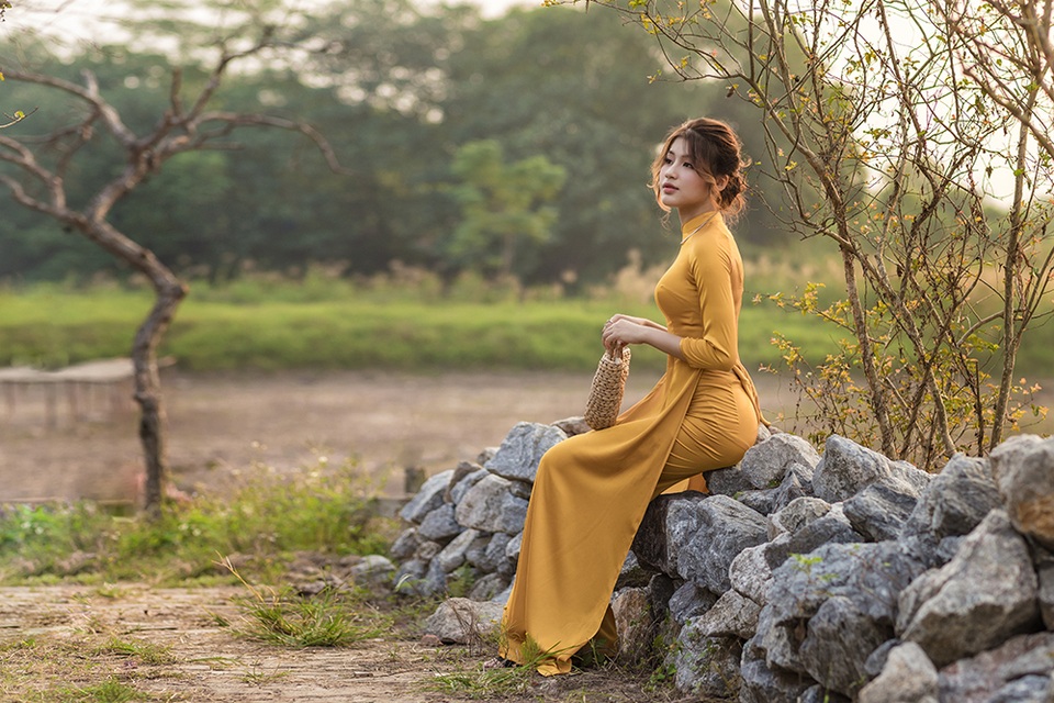 Mùa thu về dịu dàng trên cánh đồng hoa hướng dương Hà Nội - 5