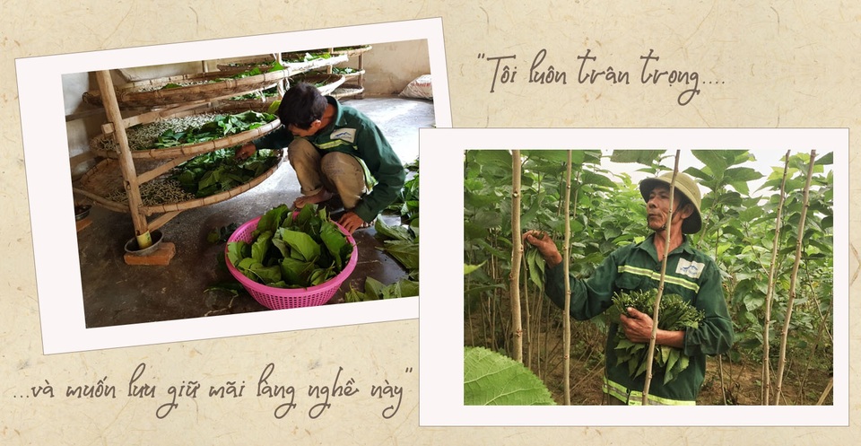 Thăm làng nghề trồng dâu nuôi tằm còn sót lại ở xứ Nghệ - 6 Thăm làng nghề trồng dâu nuôi tằm còn sót lại ở xứ Nghệ - 6