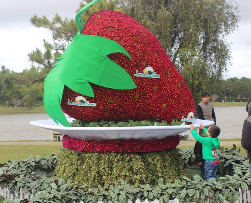 Nhiều loại hoa tươi và cây lá trang trí mới, lạ có tính thương mại cao, có tiềm năng phát triển Đà Lạt - Lâm Đồng sẽ được Hiệp hội Hoa Đà Lạt kết hợp trưng bày trong không gian hoa nghệ thuật quanh hồ Xuân Hương. Nhiều loại hoa tươi và cây lá trang trí mới, lạ có tính thương mại cao, có tiềm năng phát triển tại Đà Lạt - Lâm Đồng sẽ được Hiệp hội Hoa Đà Lạt kết hợp trưng bày trong không gian hoa nghệ thuật quanh hồ Xuân Hương.(ảnh: Ngọc Hà)