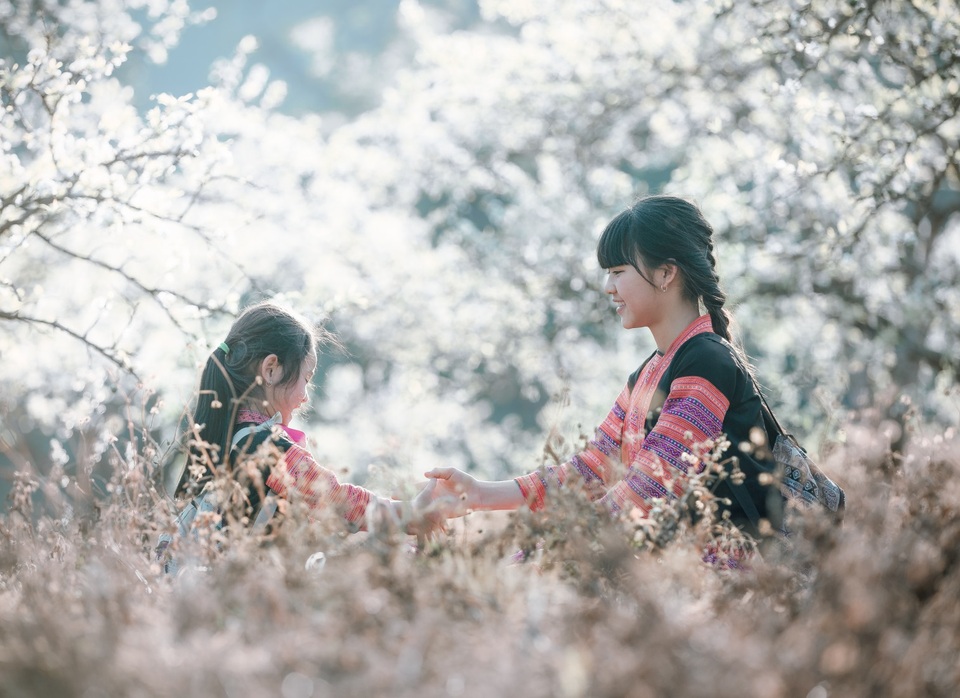 Tư vấn: Chọn tour du lịch  Tết nằm trọn trong 7 ngày nghỉ lễ - 1