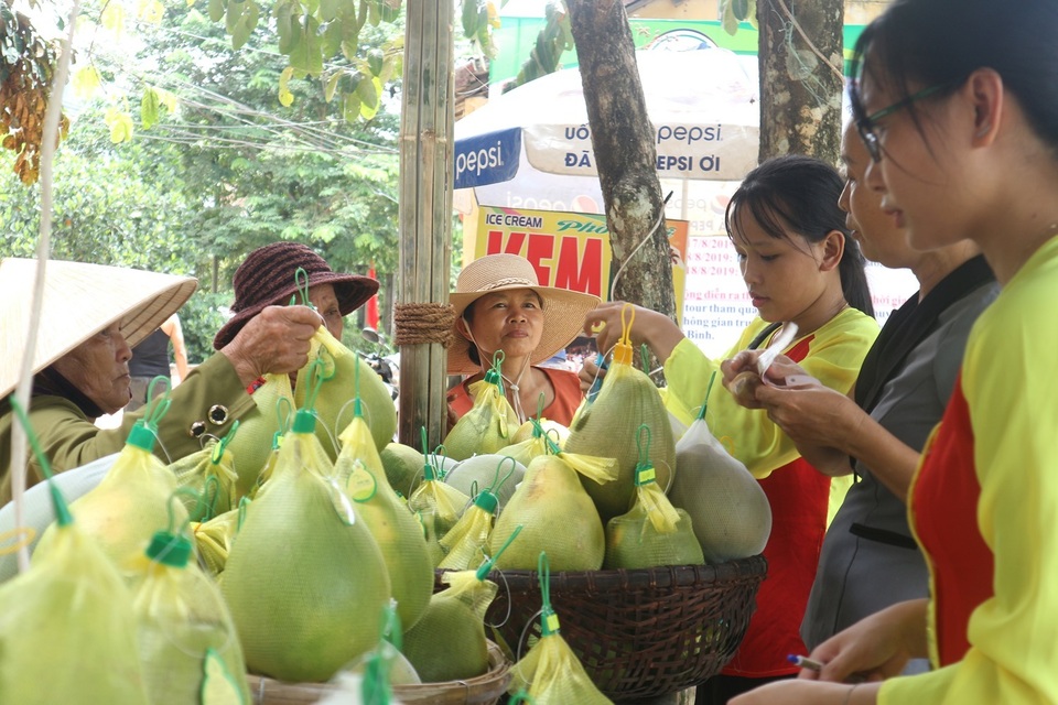 Thưởng thức trái cây Thăm Hòn Kẽm Đá Dừng ở Quảng Nam