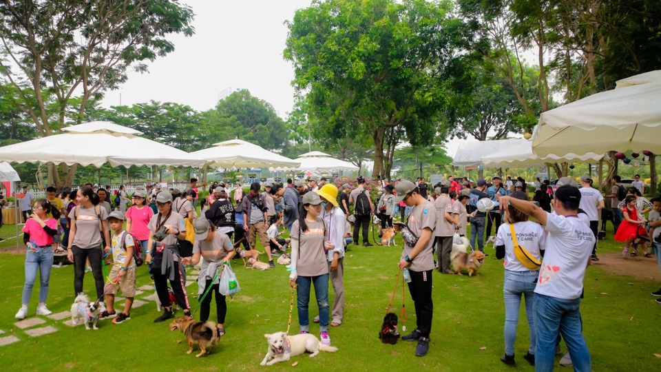 Bayer chung tay cùng cộng đồng lan toả tinh thần nuôi thú cưng có trách nhiệm - 2