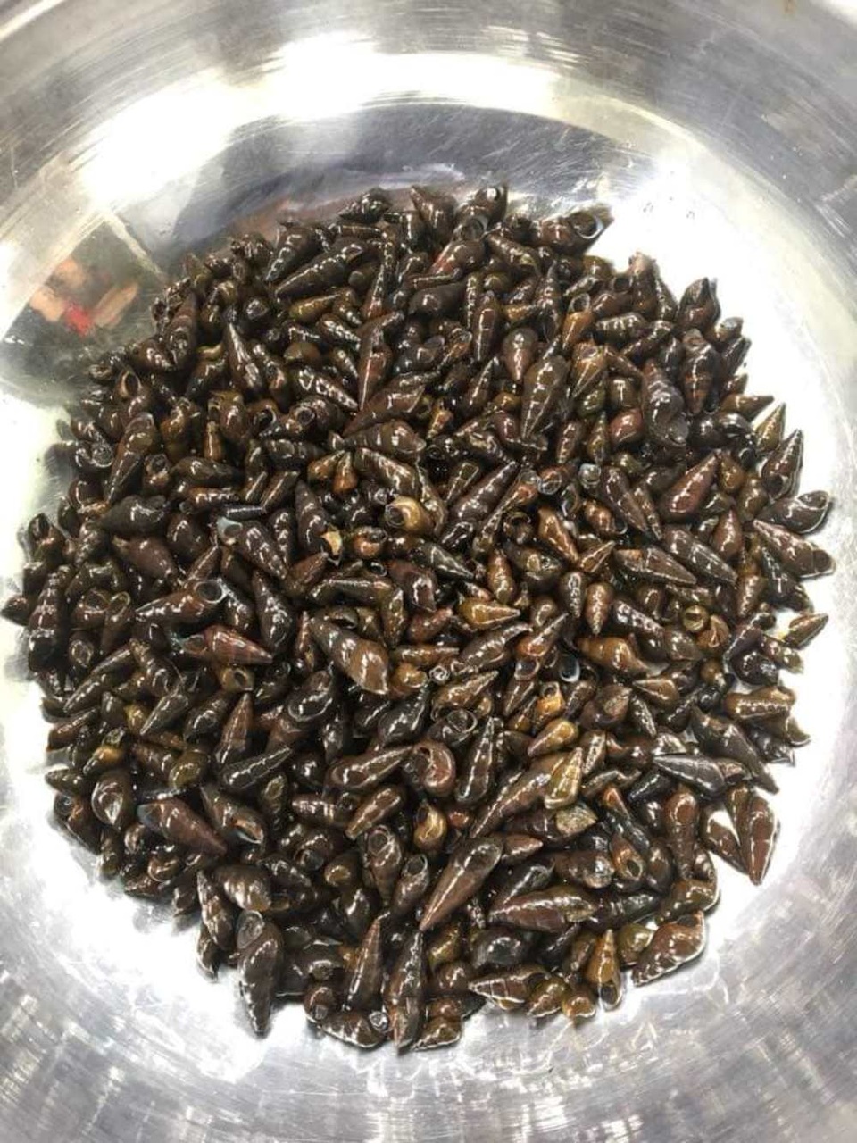 Khám phá hồ Việt An nơi miền trung du xứ Quảng Khám phá hồ Việt An nơi miền trung du xứ Quảng