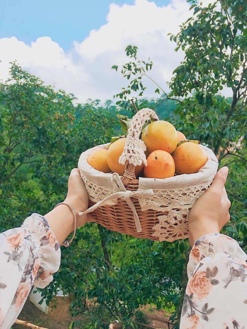 Mê mẩn mùa hồng chín ở Đà Lạt, du khách đi chẳng muốn về - 3