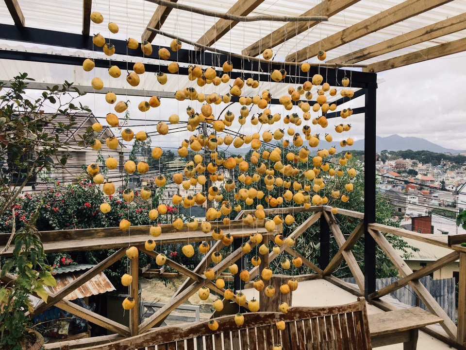 Mê mẩn mùa hồng chín ở Đà Lạt, du khách đi chẳng muốn về - 7