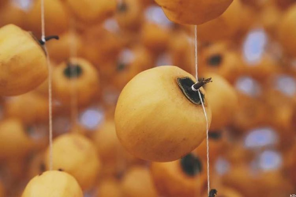 Mê mẩn mùa hồng chín ở Đà Lạt, du khách đi chẳng muốn về - 8