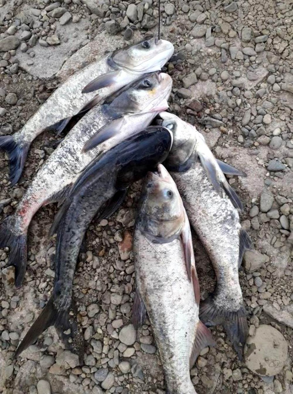 Khám phá hồ Việt An nơi miền trung du xứ Quảng Khám phá hồ Việt An nơi miền trung du xứ Quảng