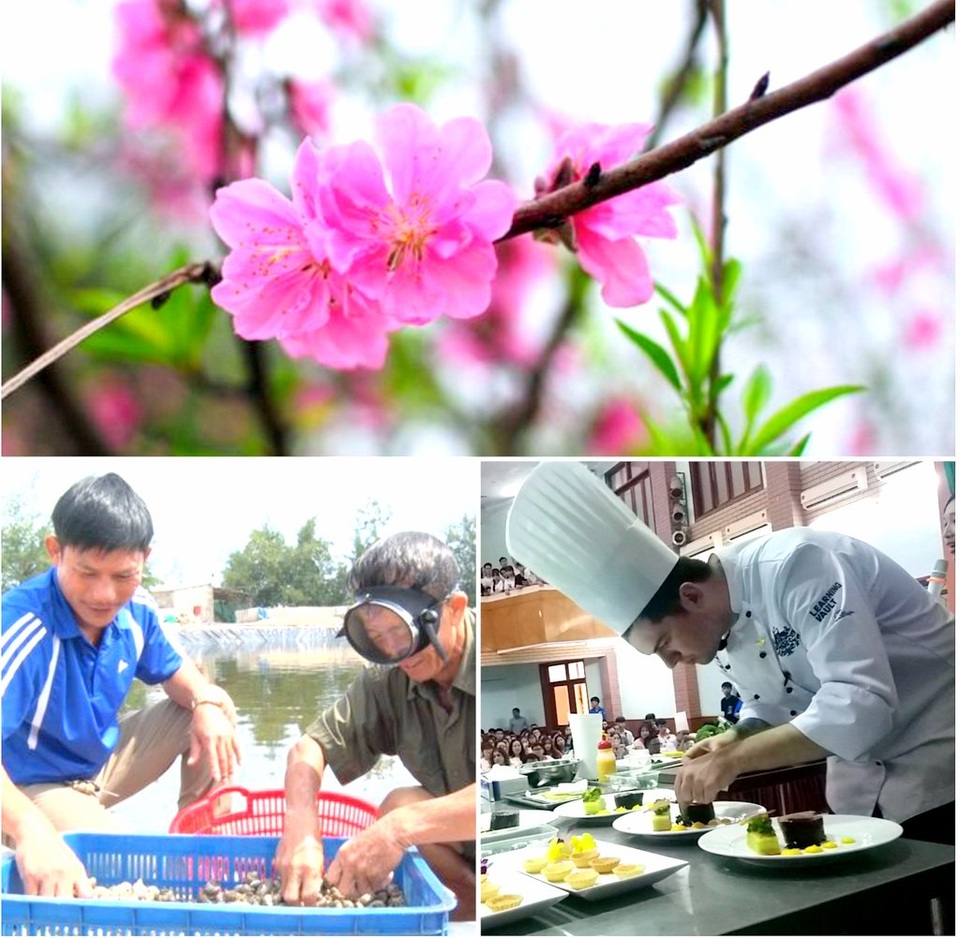 Lịch nghỉ Tết 2020, giờ làm việc trong tuần, kiếm 1,5 tỷ đồng từ ốc hương - 1 Lịch nghỉ Tết 2020, giờ làm việc trong tuần, kiếm 1,5 tỷ đồng từ ốc hương - 1