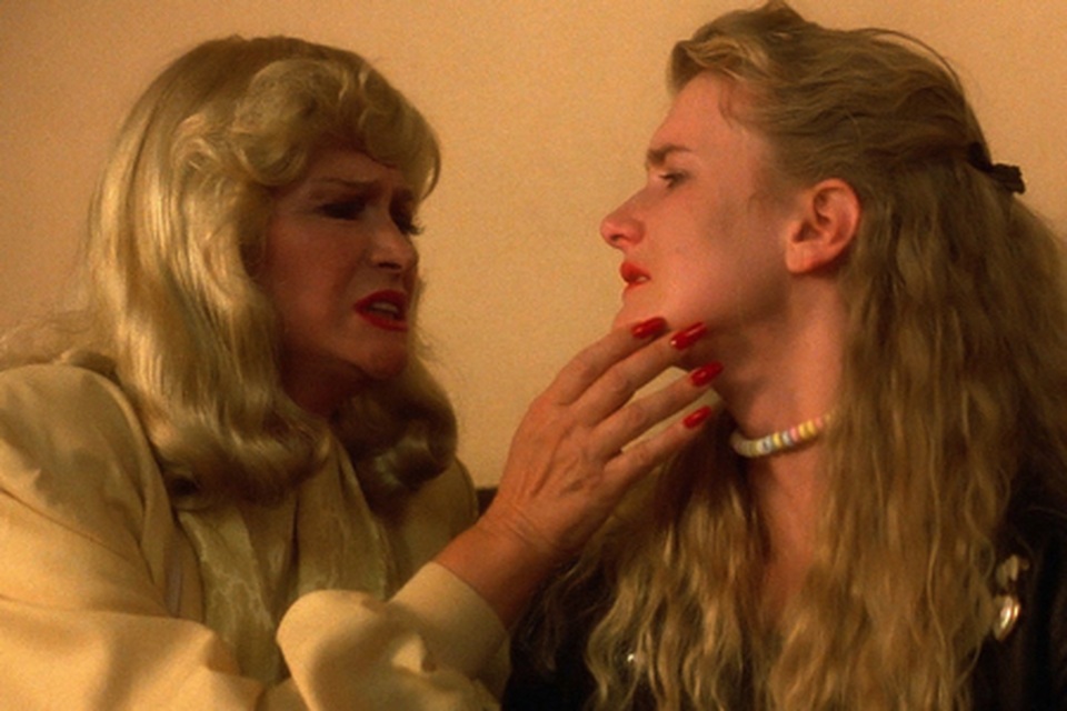 Khi các “sao” cùng người thân “đánh chiếm” màn bạc - 1