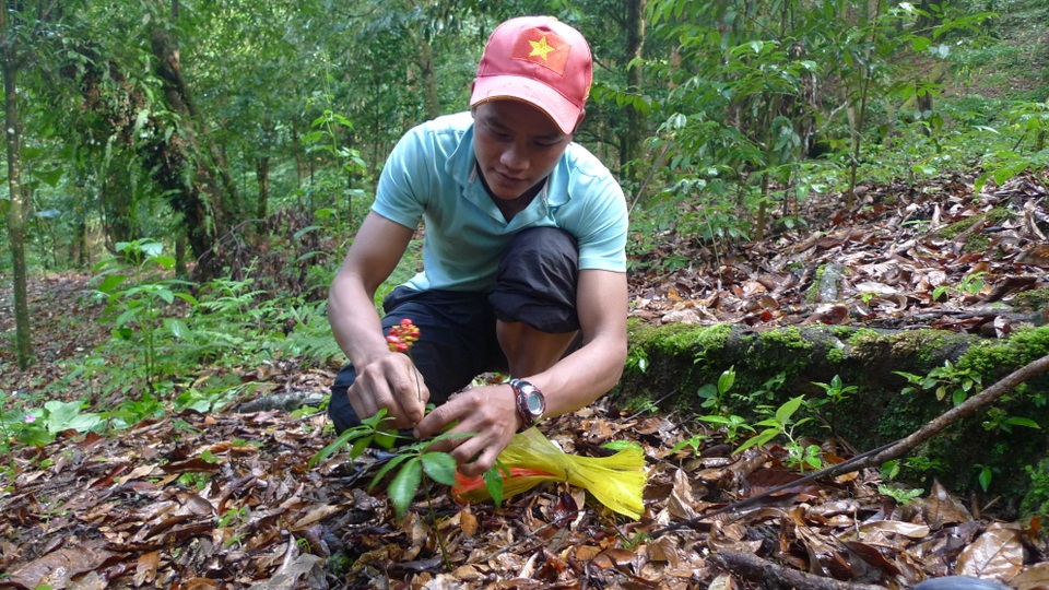 Thu hút đầu tư vào miền núi Quảng Nam