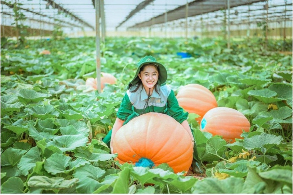 Choáng với “siêu bảo tàng” bí ngô của Vinpearl trong mùa Halloween - 2