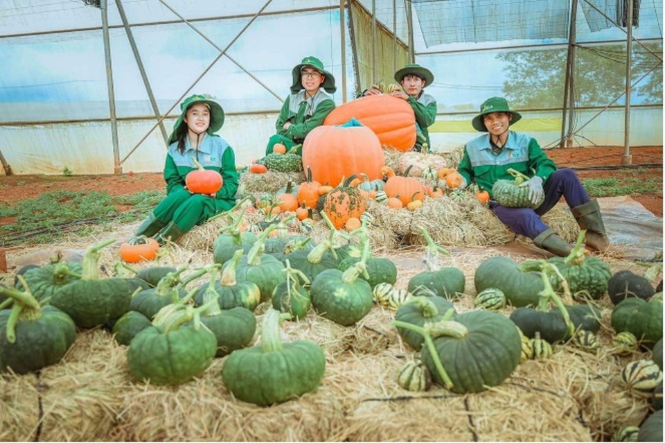 Choáng với “siêu bảo tàng” bí ngô của Vinpearl trong mùa Halloween - 3