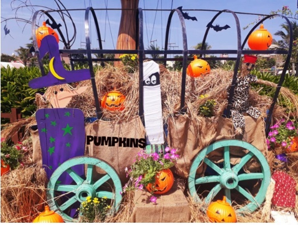 Choáng với “siêu bảo tàng” bí ngô của Vinpearl trong mùa Halloween - 7
