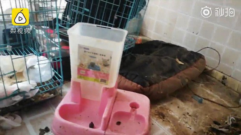 Choáng váng với những căn nhà trọ bẩn như bãi rác khiến chủ nhà sốc nặng - 1 Choáng váng với những căn nhà trọ bẩn như bãi rác khiến chủ nhà sốc nặng - 1