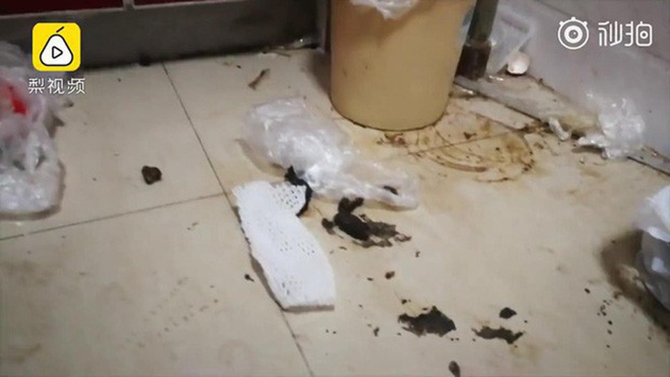 Choáng váng với những căn nhà trọ bẩn như bãi rác khiến chủ nhà sốc nặng - 2 Choáng váng với những căn nhà trọ bẩn như bãi rác khiến chủ nhà sốc nặng - 2