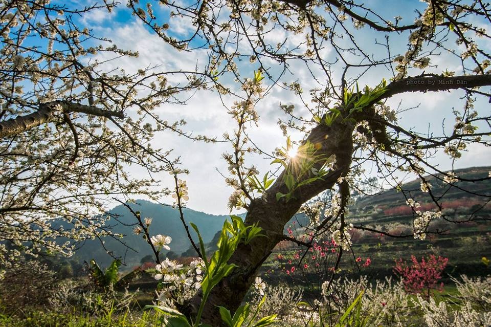 Mẫu Sơn: Nơi thời gian phủ màu quên lãng - 1 Mẫu Sơn: Nơi thời gian phủ màu quên lãng - 1