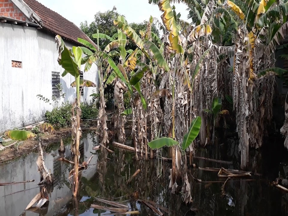Quảng Trị: Người dân “tố” đơn vị thi công đường cao tốc gây ngập úng! - 2 Quảng Trị: Người dân “tố” đơn vị thi công đường cao tốc gây ngập úng! - 2
