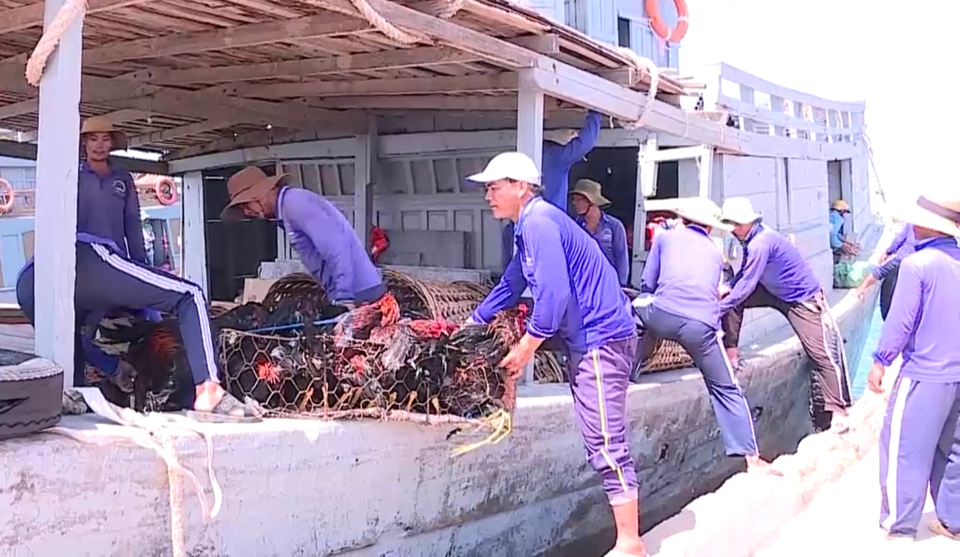 Lý Sơn tích trữ nhu yếu phẩm, đề phòng bị bão cô lập hàng chục ngày - 1 Lý Sơn tích trữ nhu yếu phẩm, đề phòng bị bão cô lập hàng chục ngày - 1